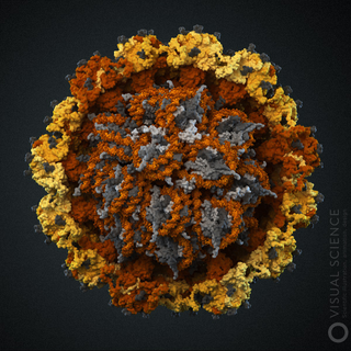 Illustration for article titled Cara Mematikan Virus HPV